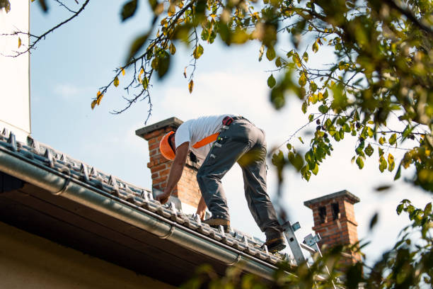 Best Roof Replacement Cost  in Marine City, MI
