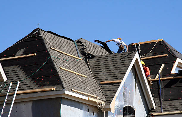 Best Roof Repair Services  in Marine City, MI