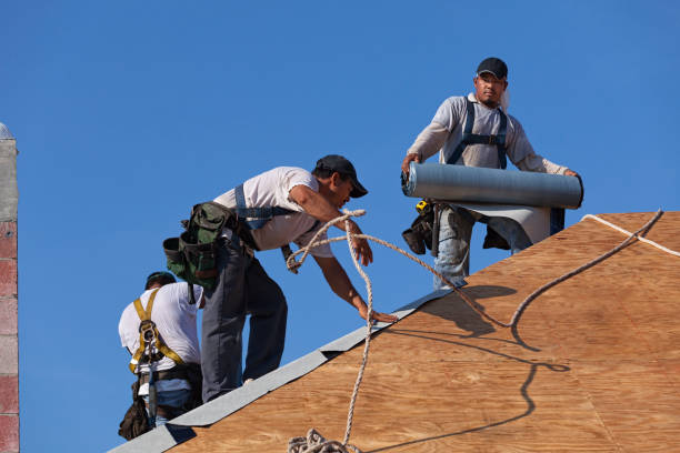 Best Residential Roofing Contractor  in Marine City, MI