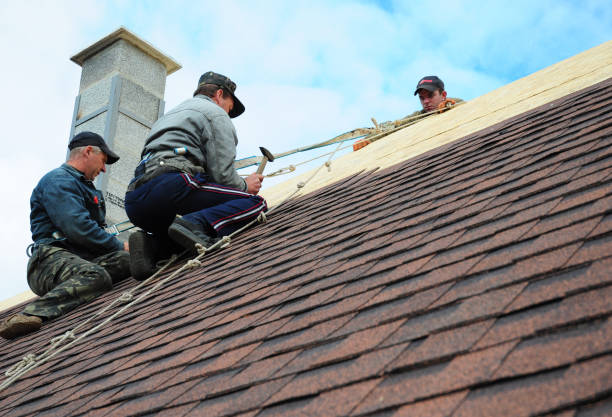 Best New Roof Installation  in Marine City, MI