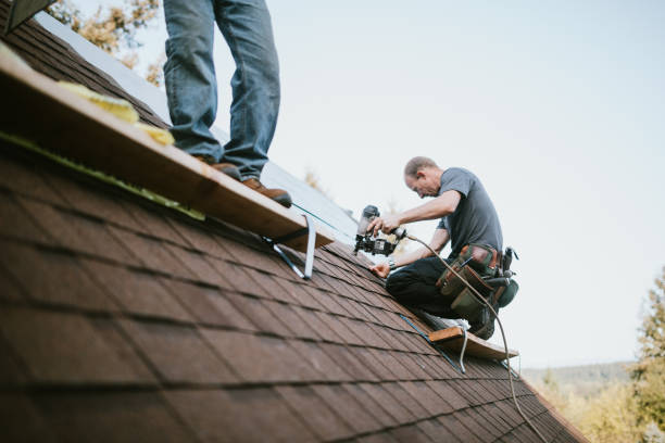 Best Local Roofing Companies  in Marine City, MI